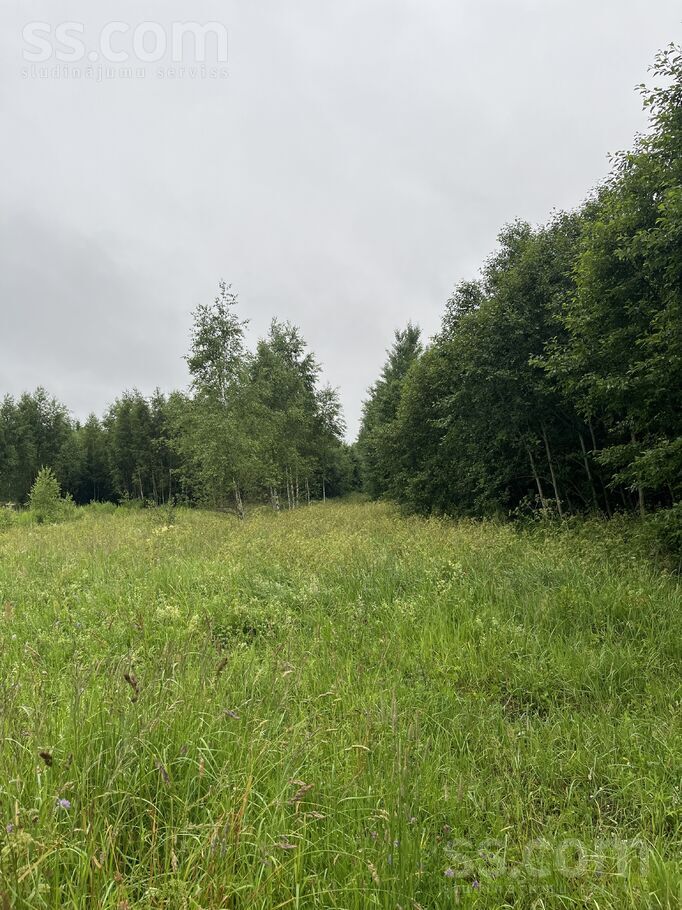 Birzgale, Ogre un raj., Birzgales pag. — mezs