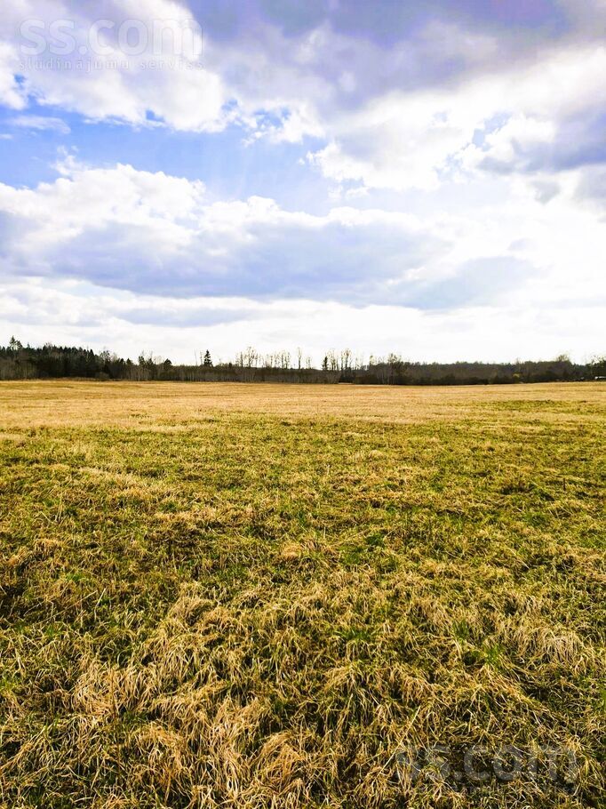 Brīnumpļava, Jugla, Ogre un raj., Suntažu pag. — zeme