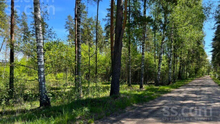 Lapmežu iela 14, Krogsils, Rīgas rajons, Ķekavas pag. — zeme