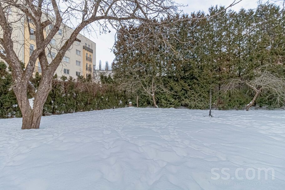 Zileņu 8, Rīga — maja