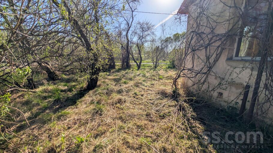 Tāles, Dorupe, Jelgava un raj., Glūdas pag. — maja
