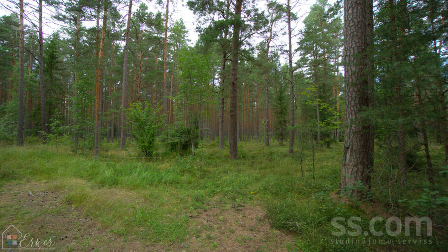 Alkšņi, Cērkste, Tukums un raj., Smārdes pag. — zeme