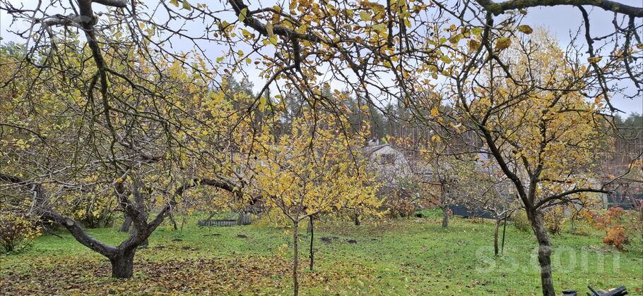 Siliņi 121, Jelgava un raj., Glūdas pag. — maja