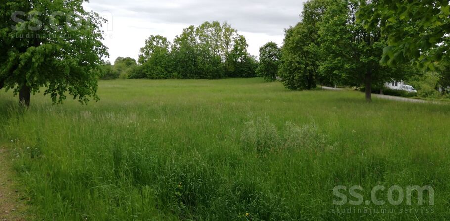 Herteļa 4, Liepāja un raj., Aizpute — zeme