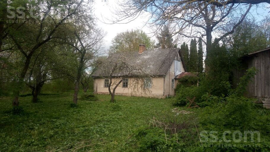 Viesturi, Bauska un raj., Viesturu pag. — vienseta