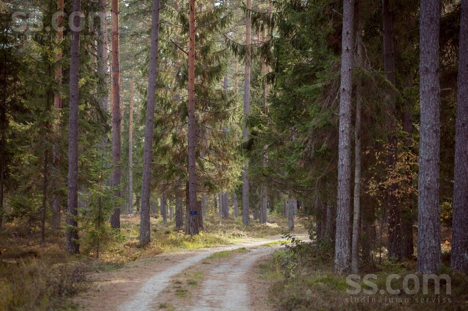 Upes Krasts, Rīgas rajons, Saulkrasti — zeme