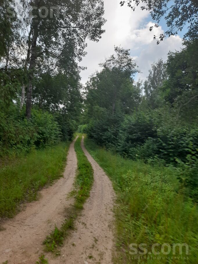 Ziedmalas,, Veclauki, Tukums un raj., Jaunpils pag. — zeme