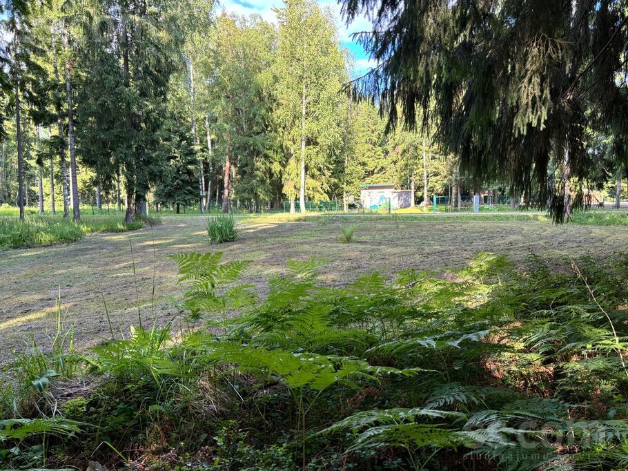 Muižas iela 11, Rīgas rajons, Saulkrasti — zeme