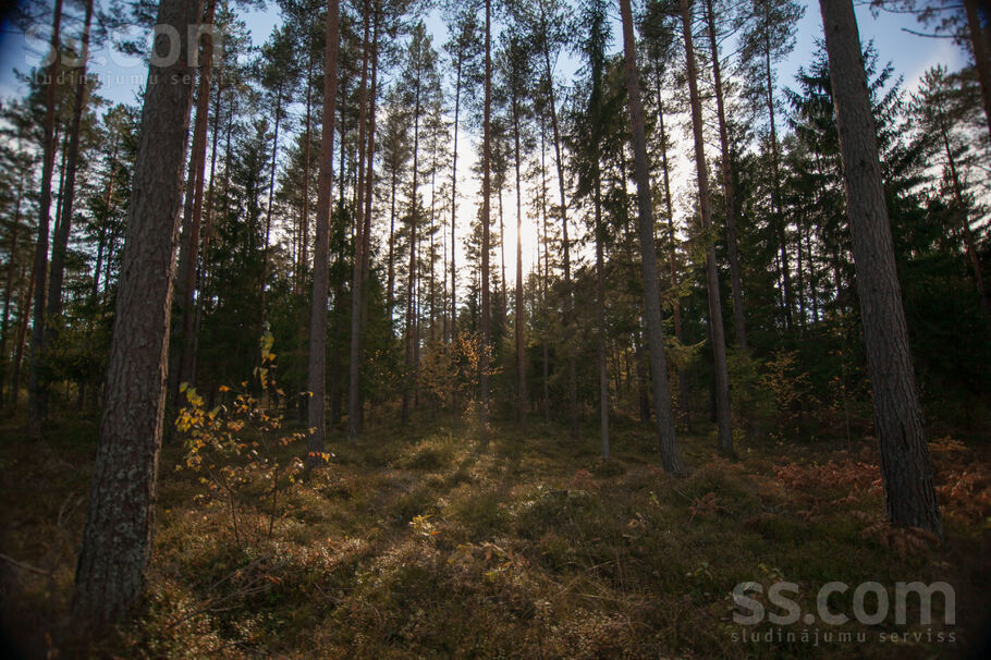 Upes Krasts, Līči, Rīgas rajons, Saulkrastu l. t. — zeme