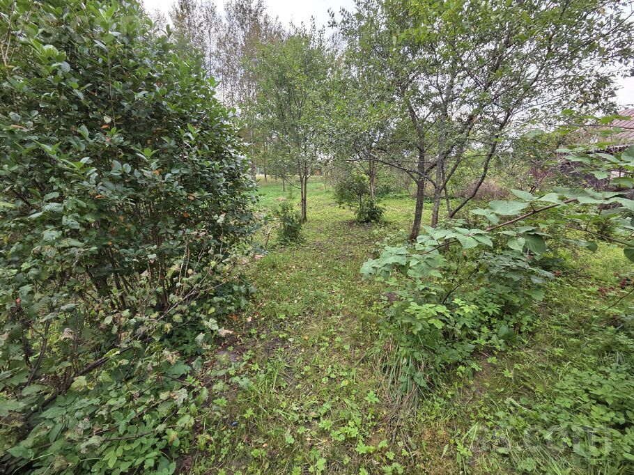 Skolas iela 9, Šķeltova, Krāslava un raj., Šķeltovas pag. — maja