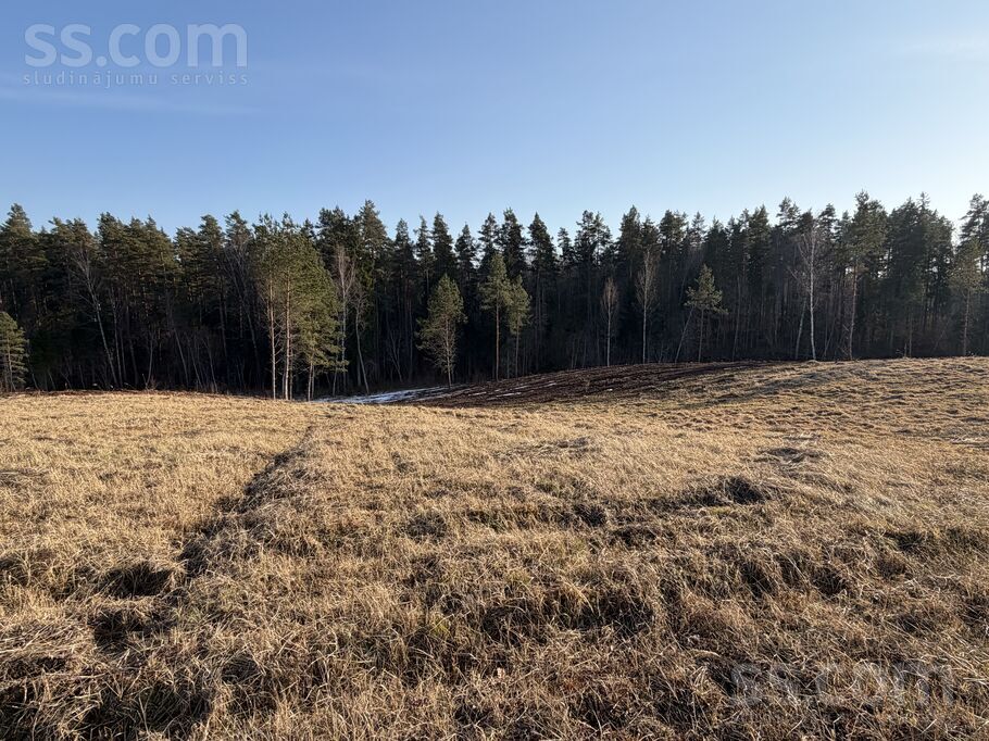 Toma iela 6, Priekuļi, Cēsis un raj., Priekuļu pag. — zeme