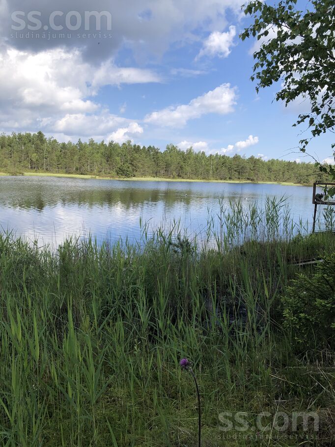 Virši 58, Virši, Rīgas rajons, Olaines pag. — zeme