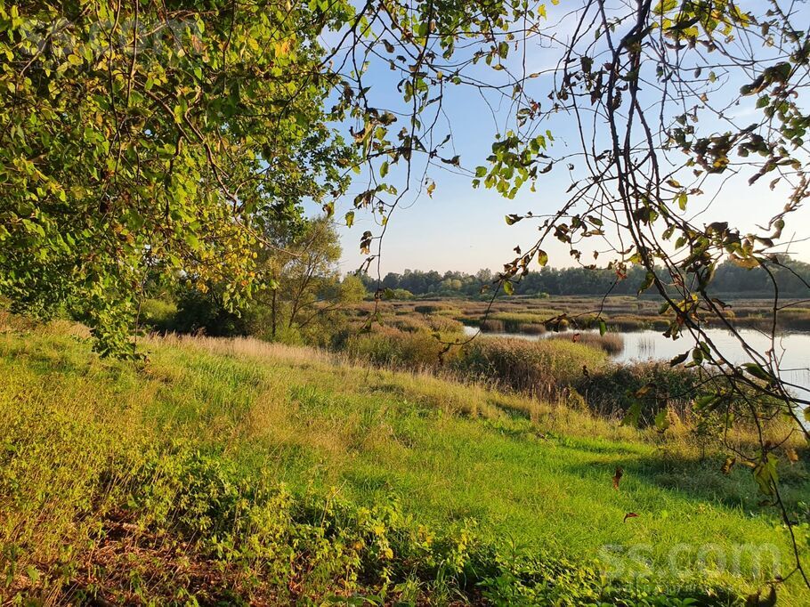 Jaunkraujas 1, Alejas, Rīgas rajons, Ķekavas pag. — zeme