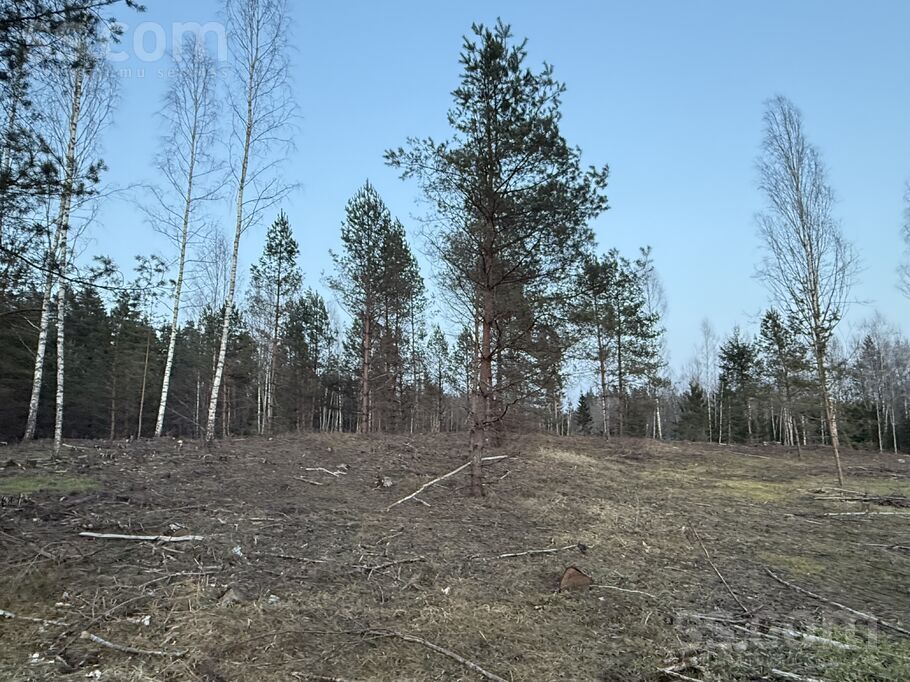 Ievziedlejas, Kangari, Rīgas rajons, Ropažu nov. — zeme