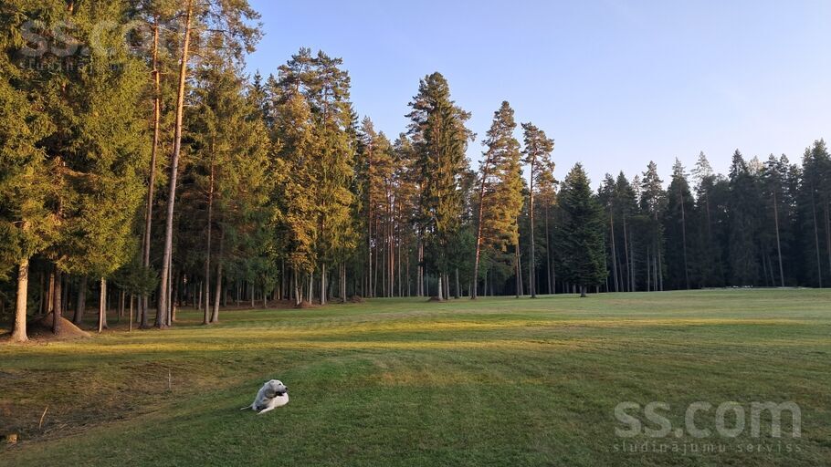 Daugmale, Rīgas rajons, Daugmales pag. — vienseta