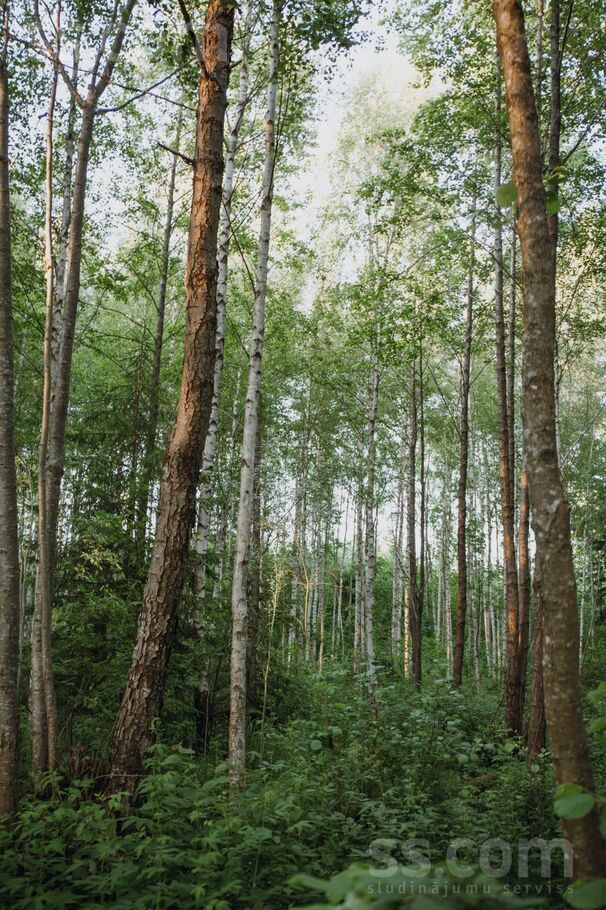 Vīnkalni, Limbaži un raj., Liepupes pag. — zeme