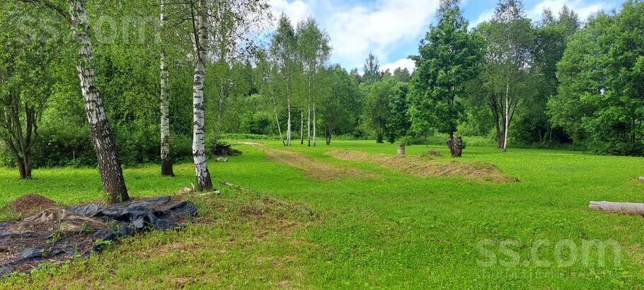 Upeņu 1, Ogre un raj., Ogre — zeme