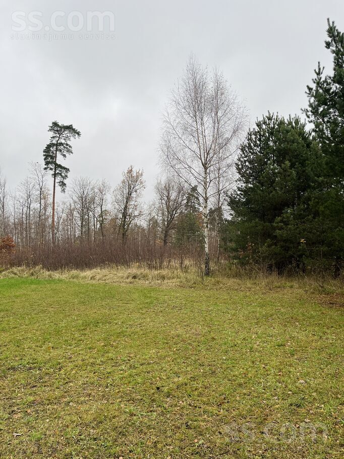 Mēness iela 4, Straupciems, Rīgas rajons, Salas pag. — zeme