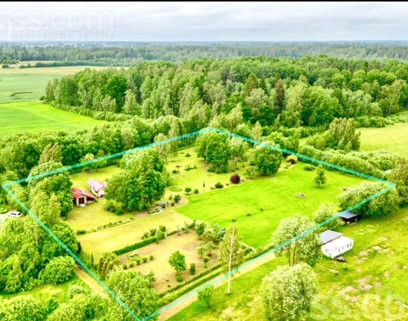 Efejas, Liepupe, Limbaži un raj., Liepupes pag. — maja