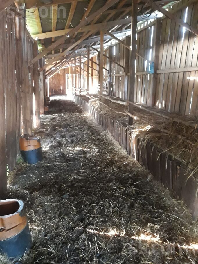 Vitkuški, Daugavpils un raj., Eglaines pag. — vienseta