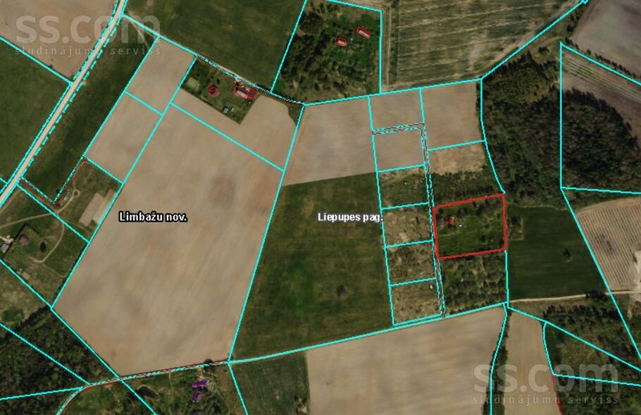 Efejas, Liepupe, Limbaži un raj., Liepupes pag. — maja