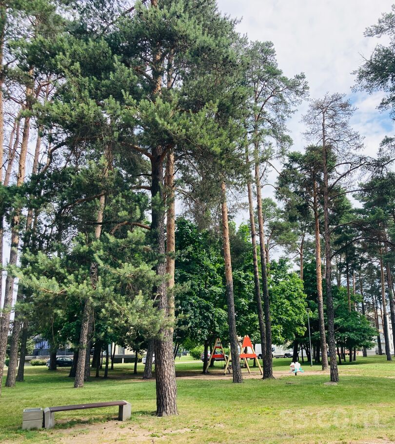 Kaivas 29, Rīga — dzivoklis