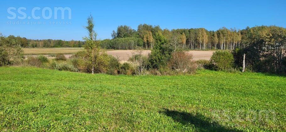 Dzintarkalni 1, Balvi un raj., Balvi — maja