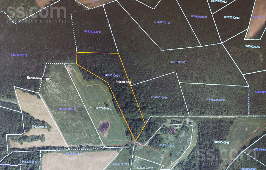 Rusakova, Krāslava un raj., Indras pag. — mezs