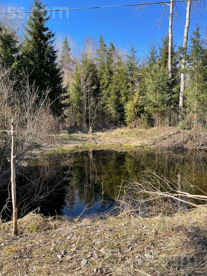 Puriņi, Viesatas, Tukums un raj., Viesatu pag. — zeme