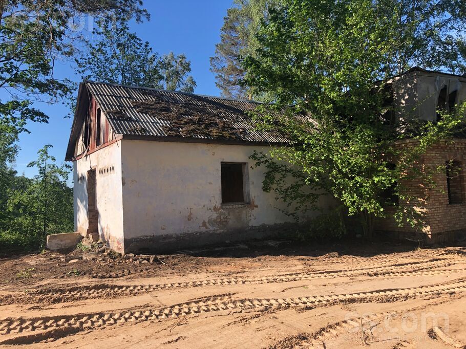 Dobele un raj., Dobele — vienseta