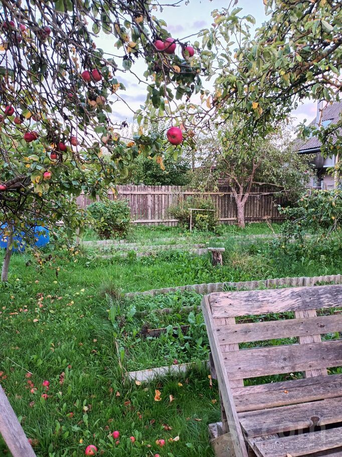 31 6, Šķēde, Liepāja un raj., Medzes pag. — maja