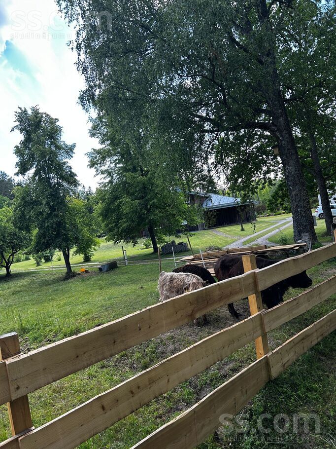 Buku 3, Ķesterciems, Tukums un raj., Engures pag. — maja