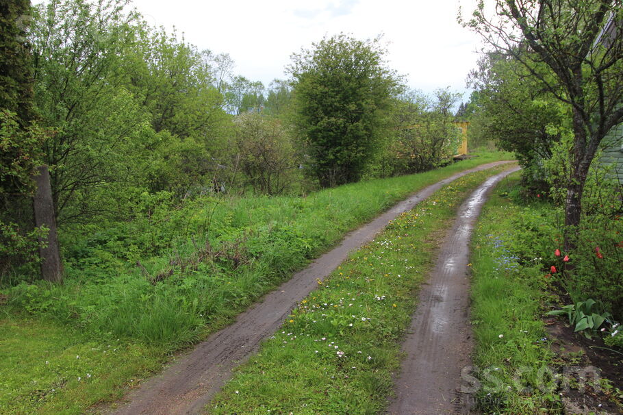 Atpūta Griškāni 59, Dreizi, Rēzekne un raj., Griškānu pag. — maja