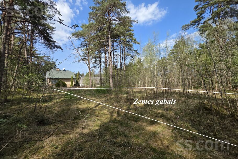 Ceļafišeri, Lapmežciems, Tukums un raj. — zeme