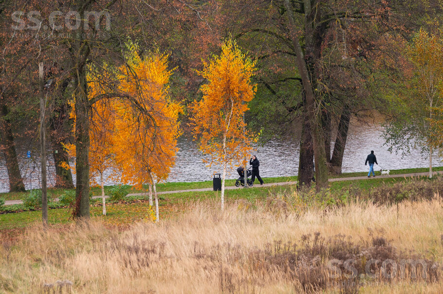 Liepājas 2, Rīga — dzivoklis