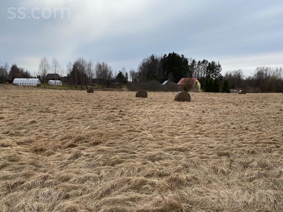 Cēsu ceļs, Auciems, Cēsis un raj., Raiskuma pag. — zeme