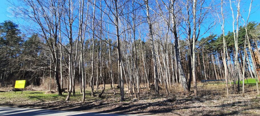 Dumbrāja 11, Rīga — zeme