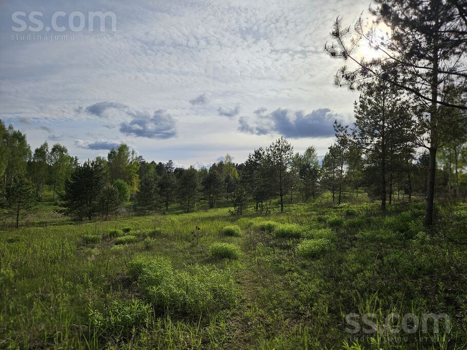 Pieneņu ceļš 19, Ogre un raj., Ogre — zeme