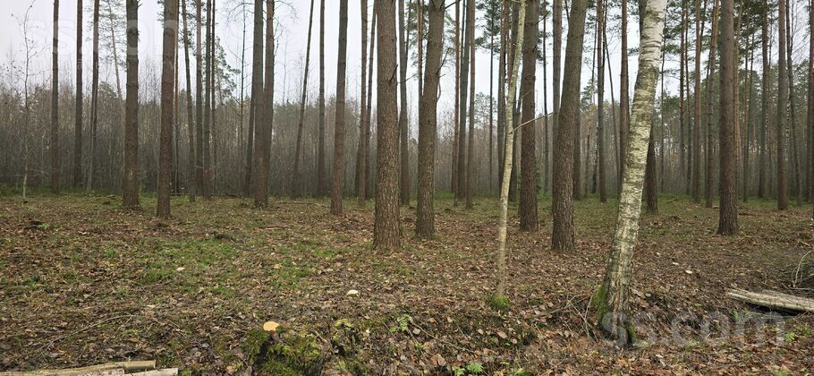 Beberbeķu, Rīga — zeme