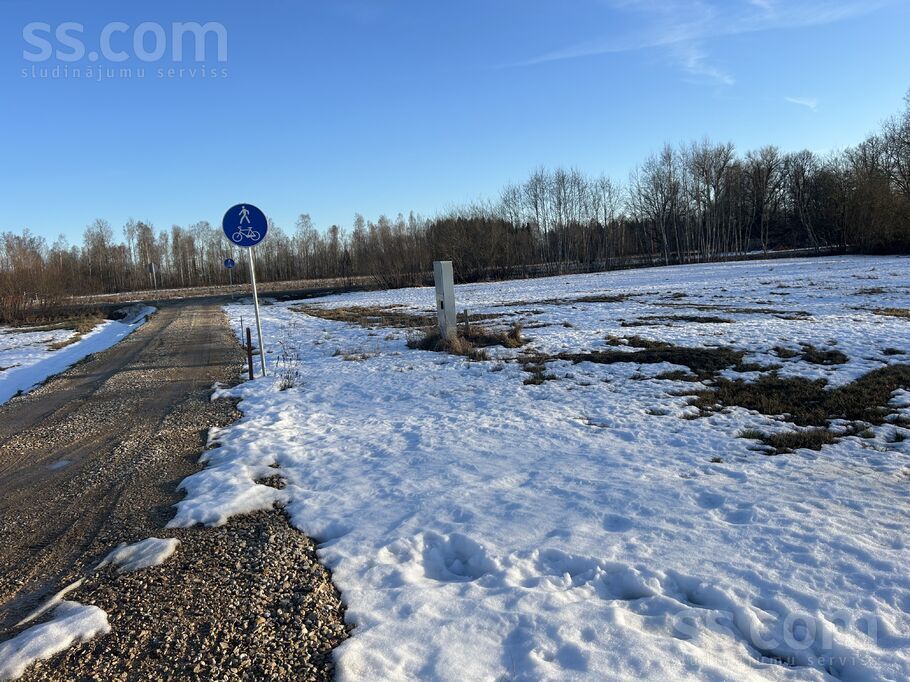 Ziedlejas 12, Ogre un raj., Ogre — zeme