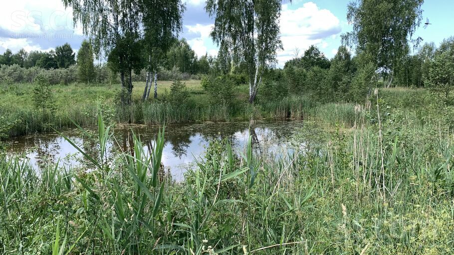 Lauku īpašums, Dzirciems, Tukums un raj., Zentenes pag. — zeme