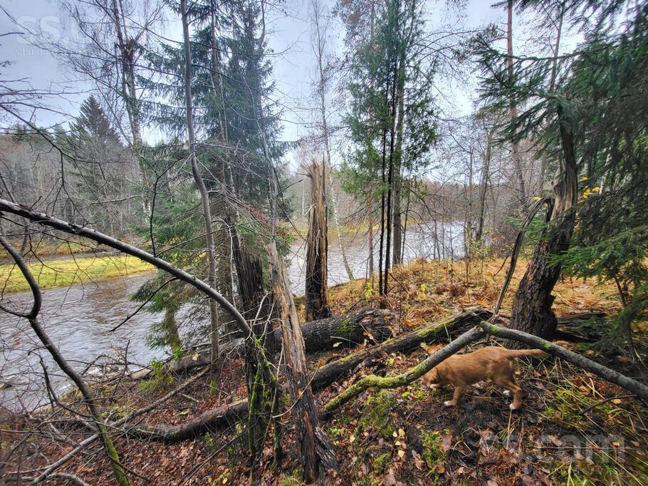 Nomalnieki, Vireši, Alūksne un raj., Virešu pag. — zeme