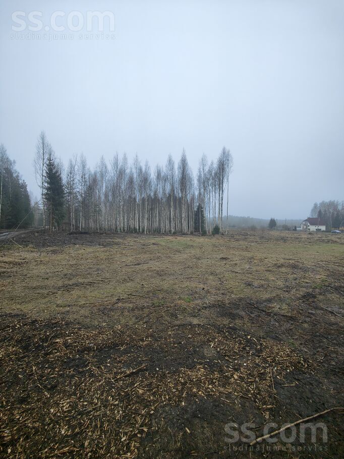 Cielavuiela iela 17, Gaidas, Rīgas rajons, Ropažu nov. — zeme