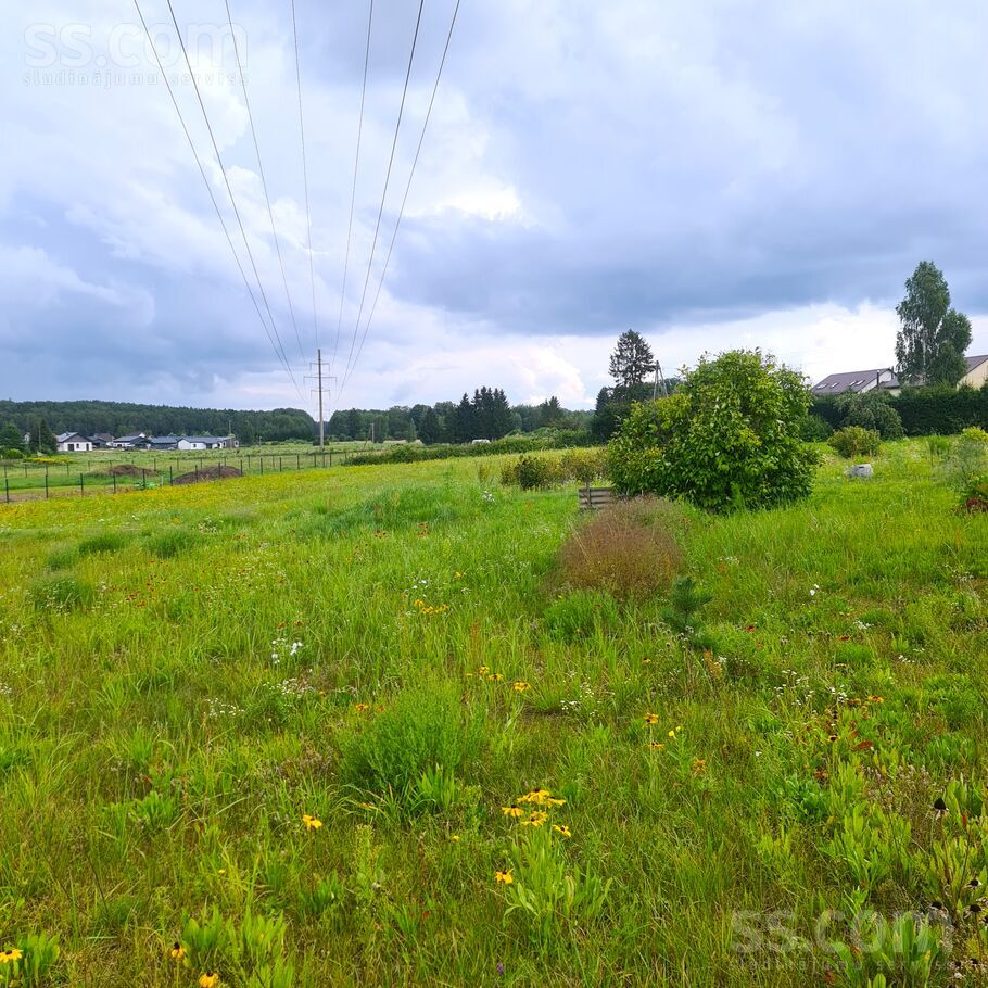 Ezera 42a, Ogre un raj., Ikšķile — zeme