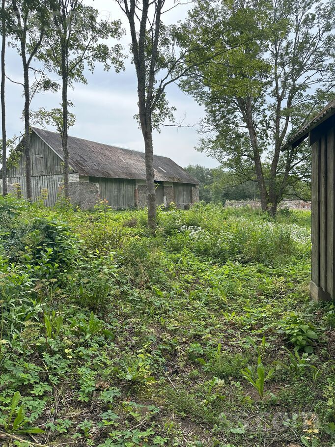 Kociņi, Jaunlaicene, Alūksne un raj., Jaunlaicenes pag. — maja