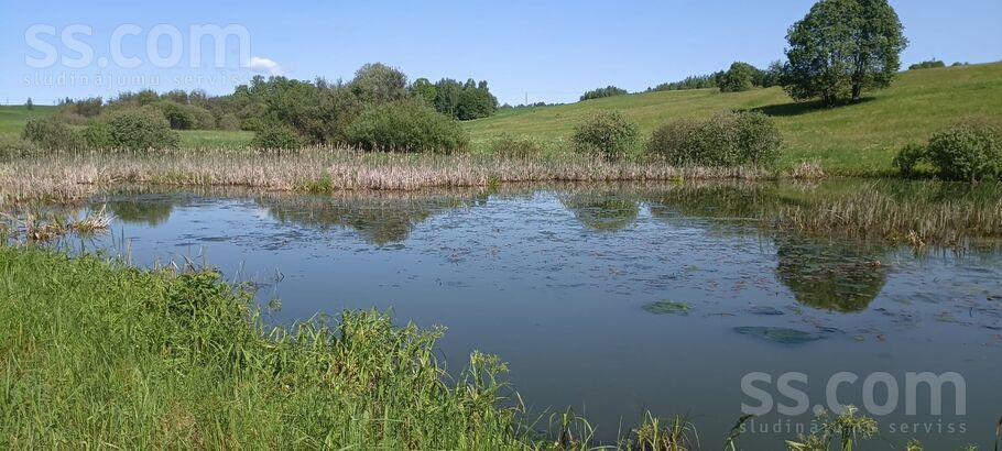 Miera iela, Prezma, Rēzekne un raj., Silmalas pag. — zeme