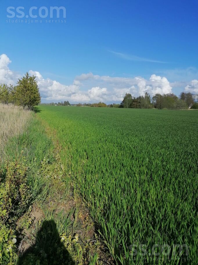 Senleja, Ventspils un raj., Piltenes l. t. — zeme