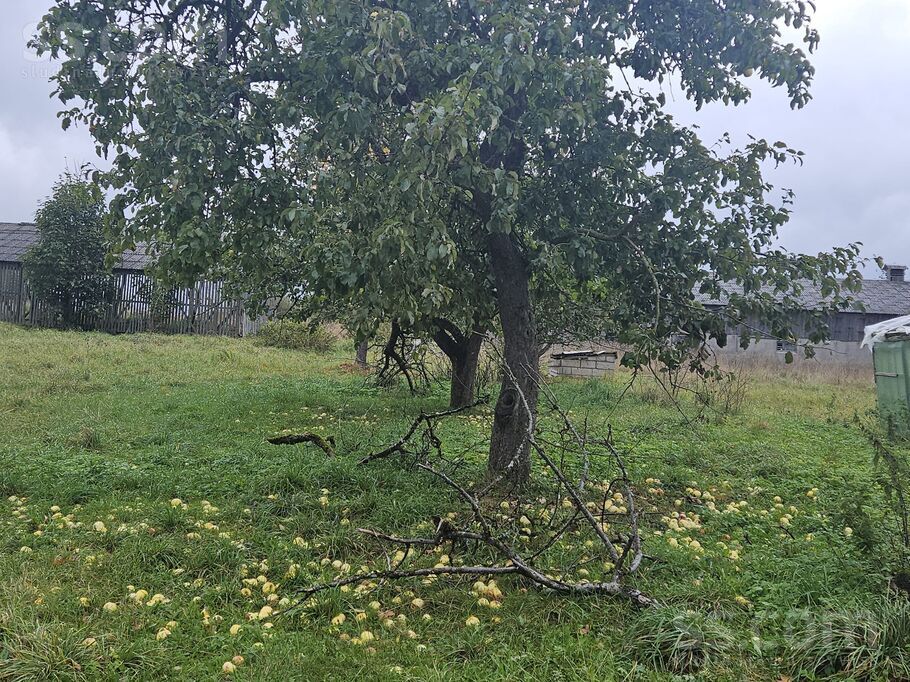 Sarcene, Sārcene, Saldus un raj., Šķēdes pag. — maja