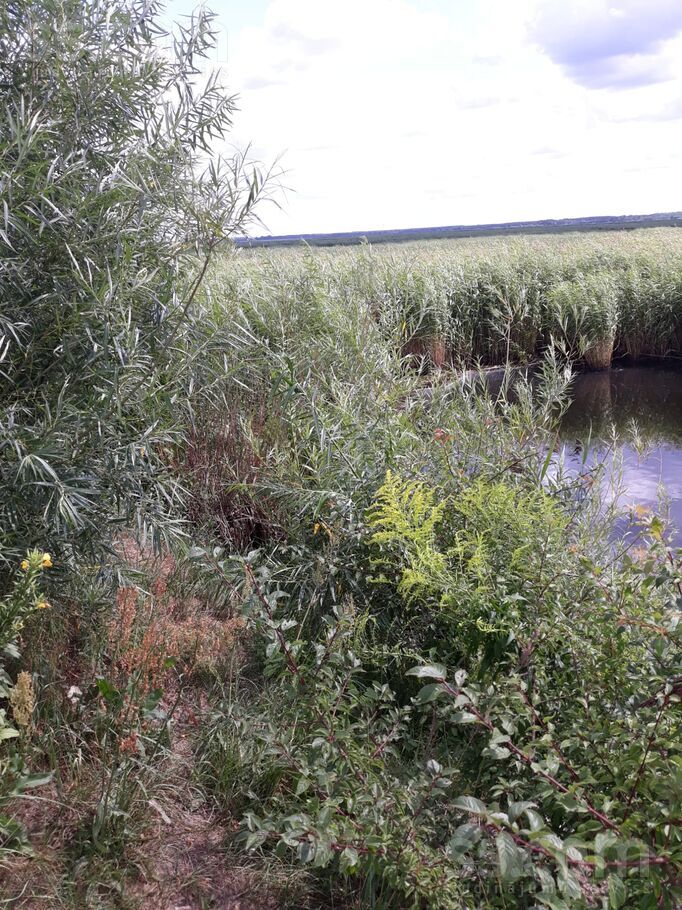 Krišjāņi, Krievragciems, Talsi un raj., Ķūļciema pag. — zeme