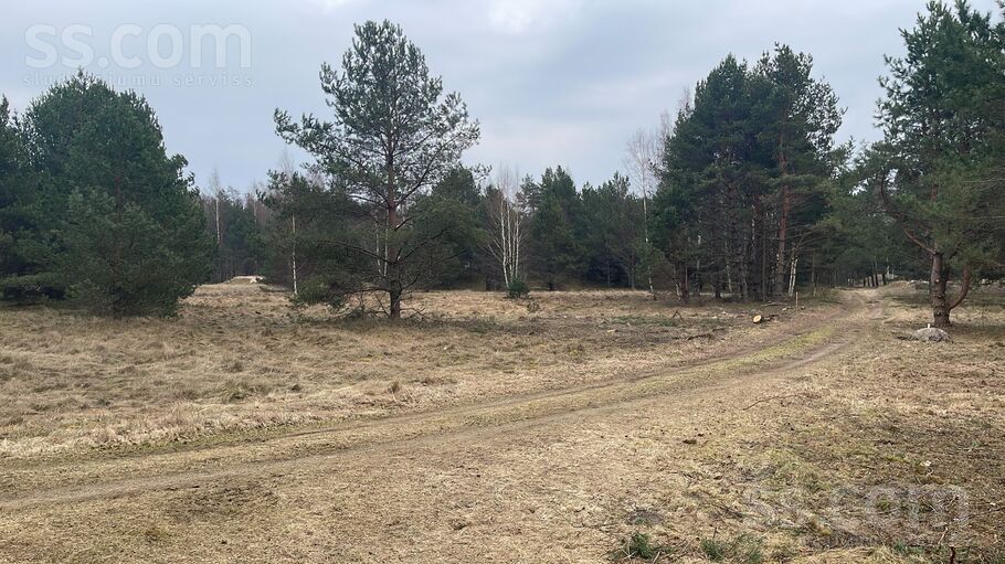 Lōrm nītõd, Sīkrags, Talsi un raj., Kolkas pag. — zeme